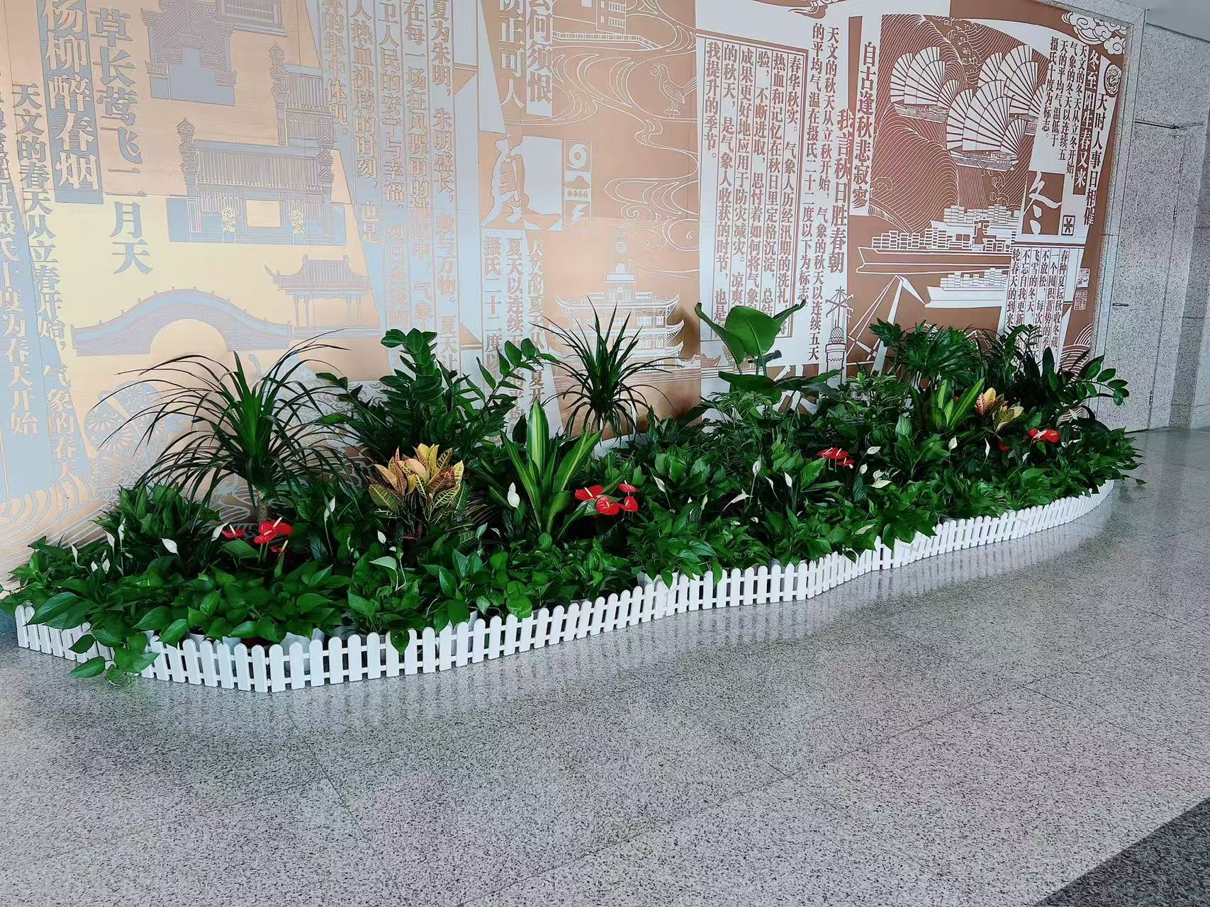 奉化花木出租哪家好？这家口碑爆棚值得选！><div class=